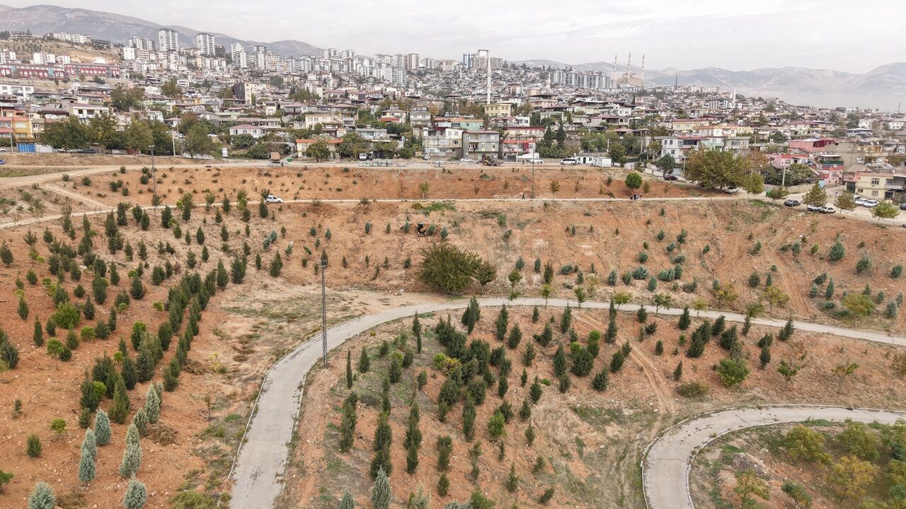 Kahramanmaraş’ta Şehir Merkezine 3 Bin Ağaç Dikilecek (2)