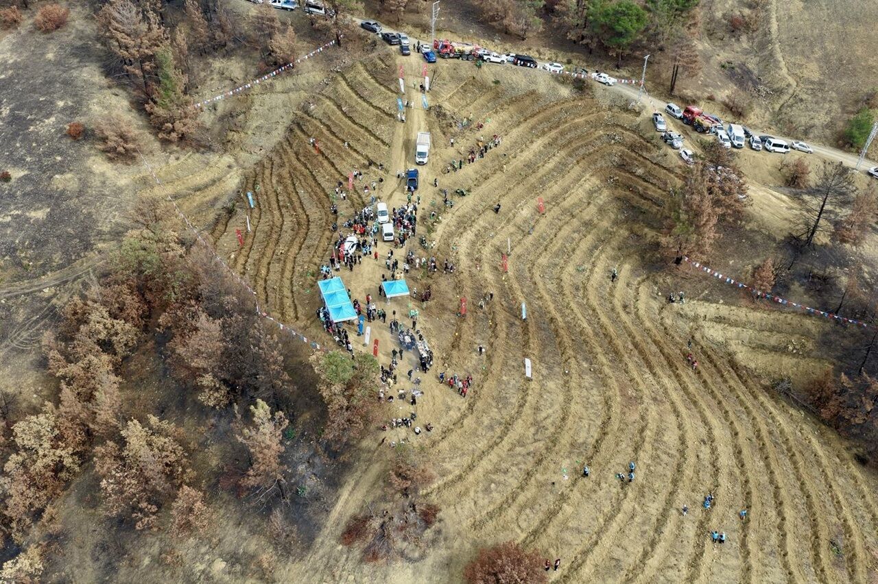 Kahramanmaraş’ta Yangın Alanları Yeşile Büründü Bin 500 Fidan Toprakla Buluştu (5)