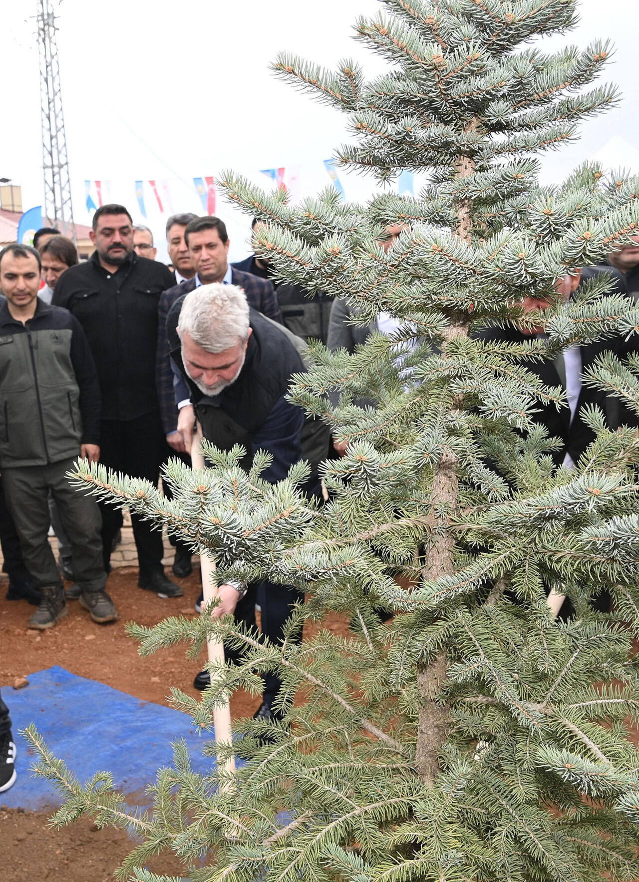 Milli Ağaçlandırma Günü (3)