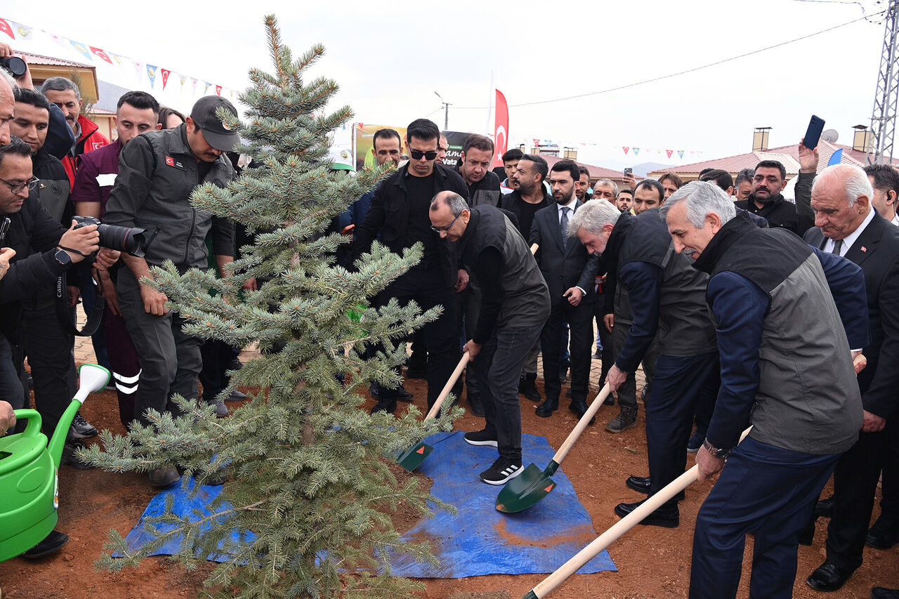 Milli Ağaçlandırma Günü (4)