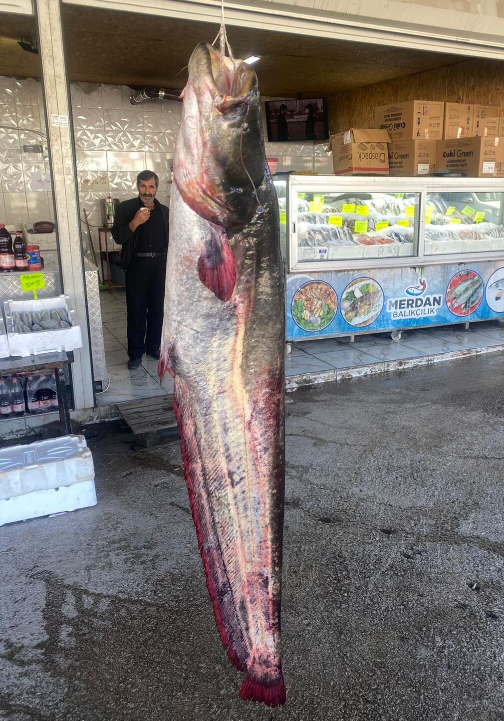 A A 20251217 40008774 40008773 K A H R A M A N M A R A S T A 100 K I L O G R A M L I K Y A Y I N B A L I G I Y A K A L A N D I