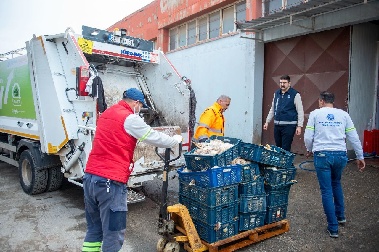 Adana’da Depoda Kokmuş 25 Kasa Tavuk Ele Geçirildi (1)