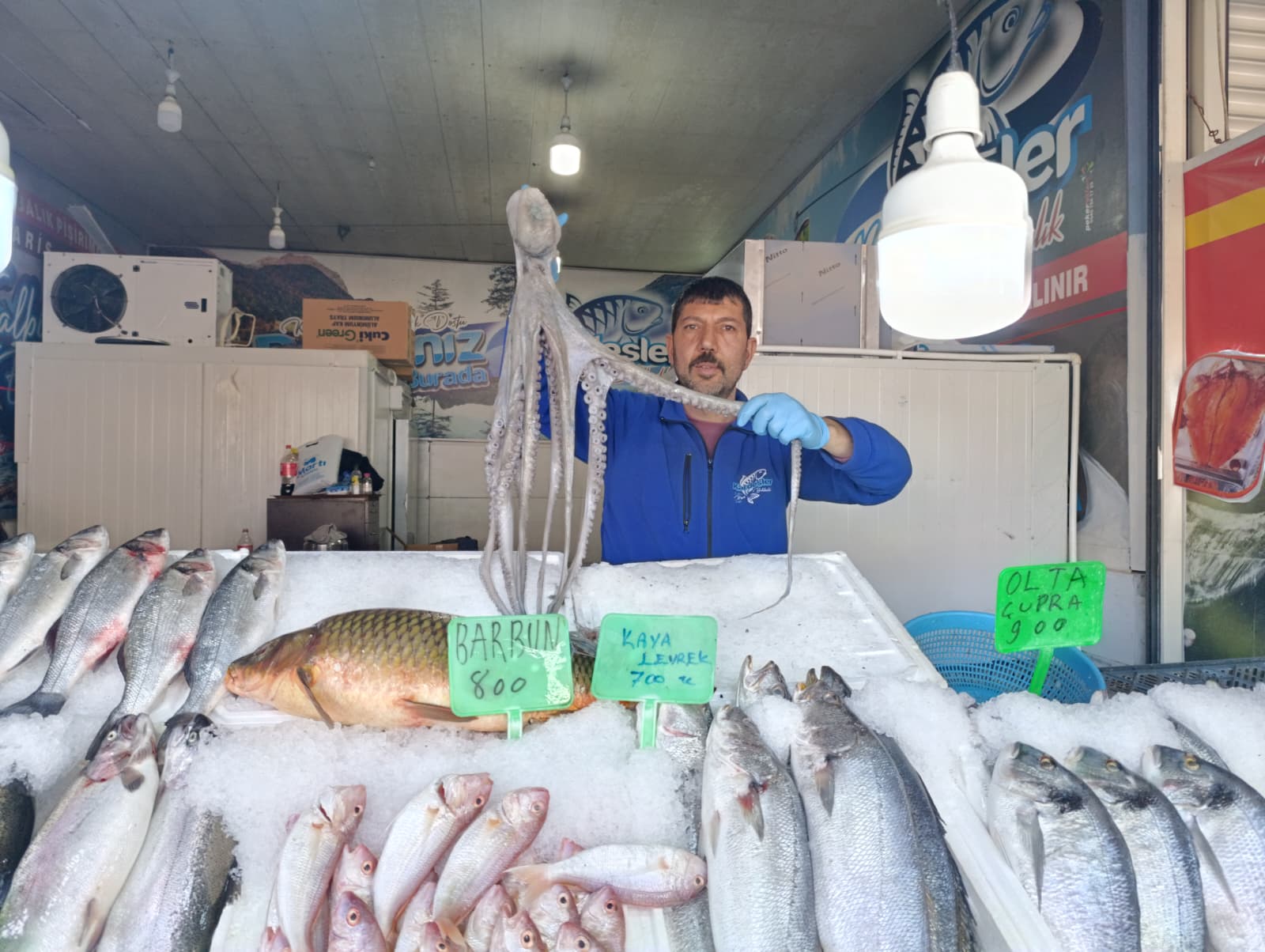 Kahramanmaraş’ta Balık Fiyatları Ve Tüketim Rakamları Açıklandı (1)