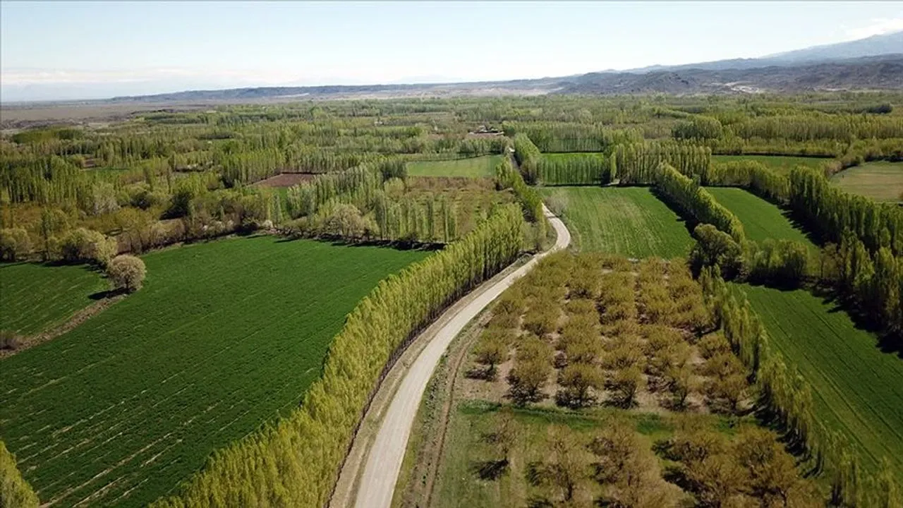 Kahramanmaraş’ta Tapusuz Yer Kalmayacak: 2B Arazileri İçin Tarih Açıklandı