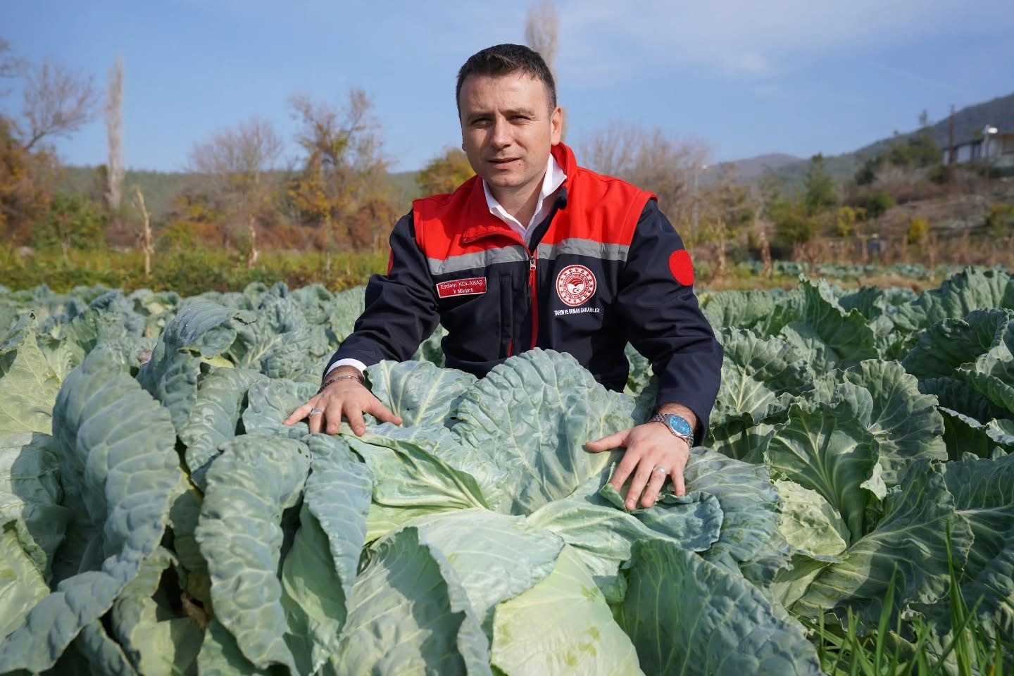 Osmaniye'nin Hasanbeyli İlçesinde Ata Tohumu Lahana Hasadı Yapıldı (2)