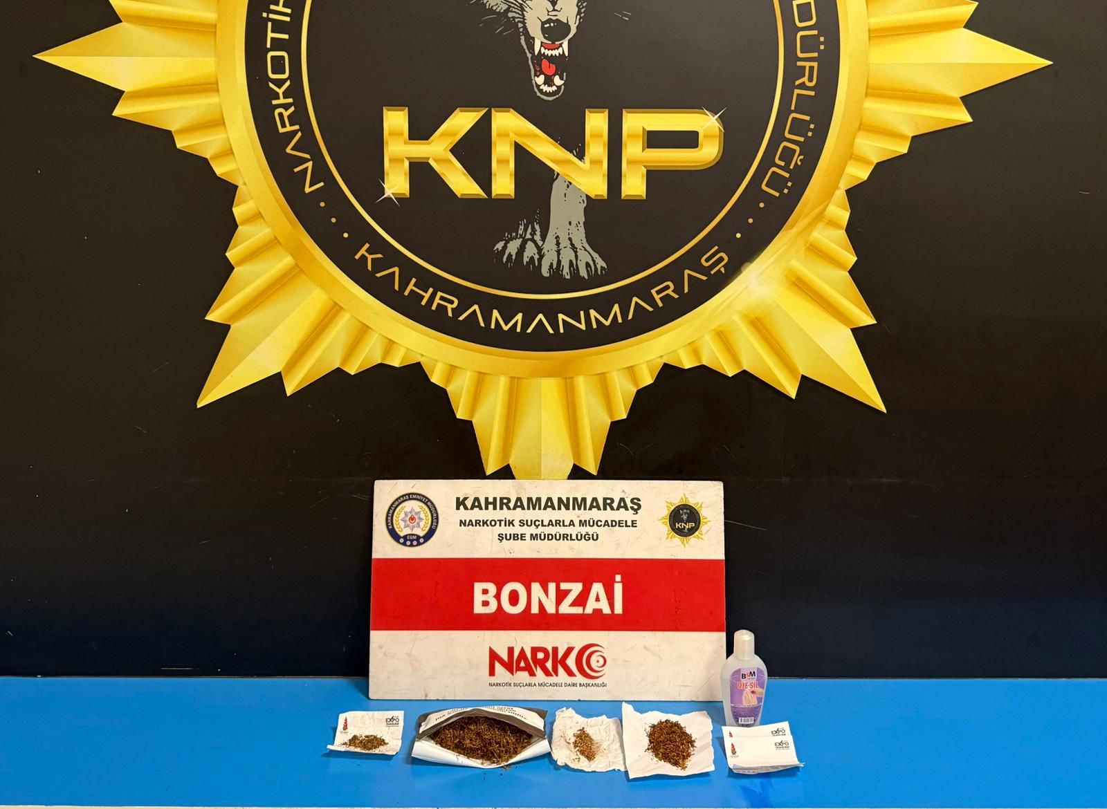 Whatsapp Image 2025 12 25 At 17.06.01