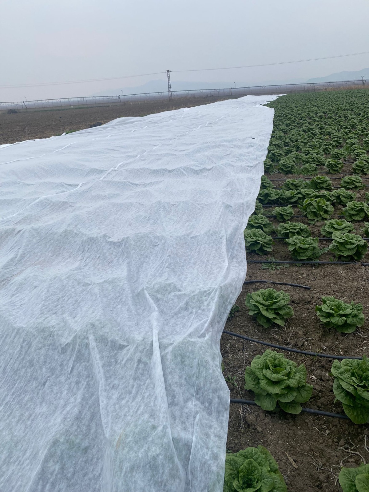 Whatsapp Image 2025 12 30 At 14.25.13 (2)