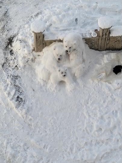 615216544 18300835528279967 4933460705668668464 N