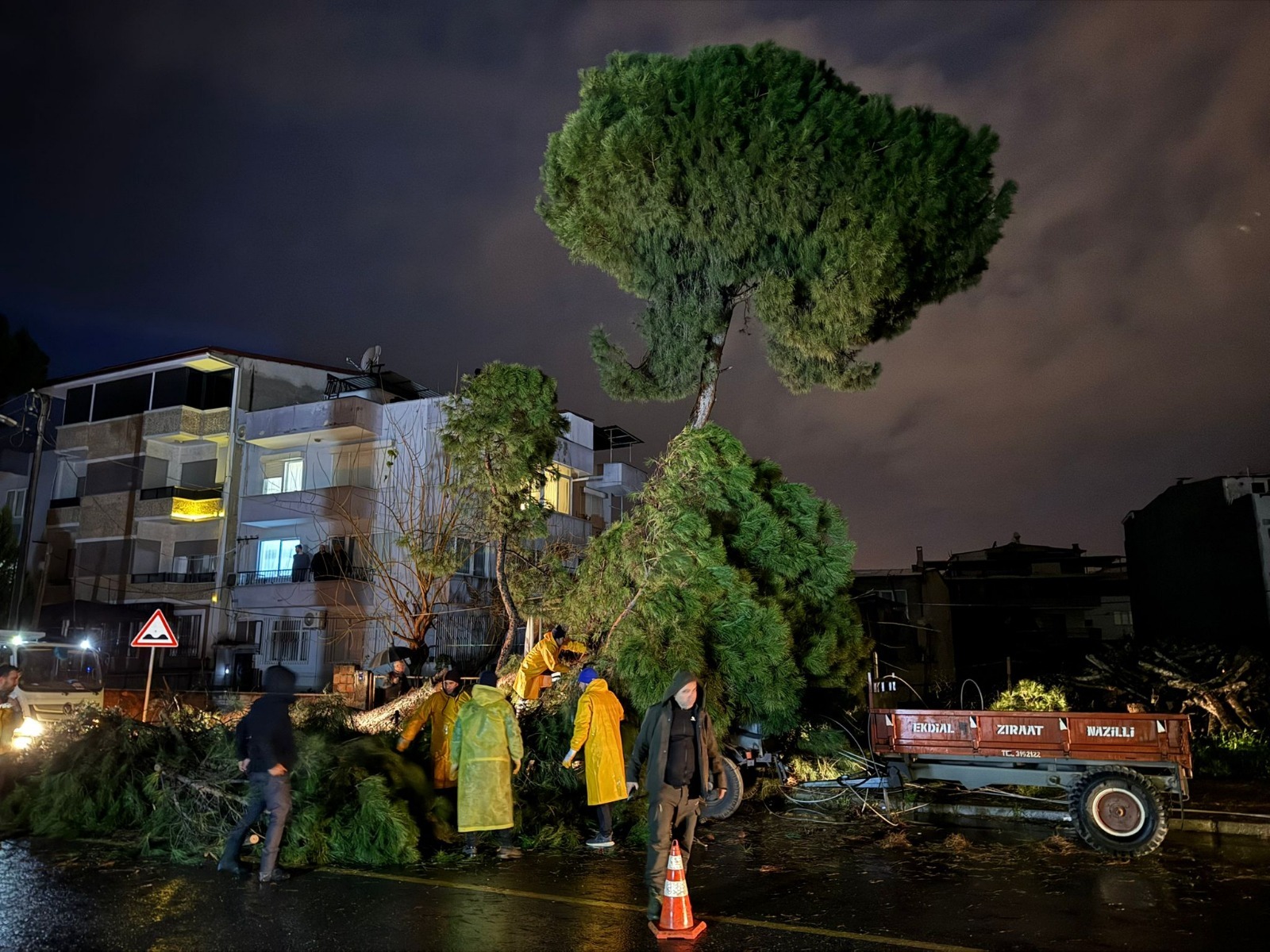 Aydın Nazilli’de Fırtına Ağaç Devirdi, Elektrik Telleri Koptu