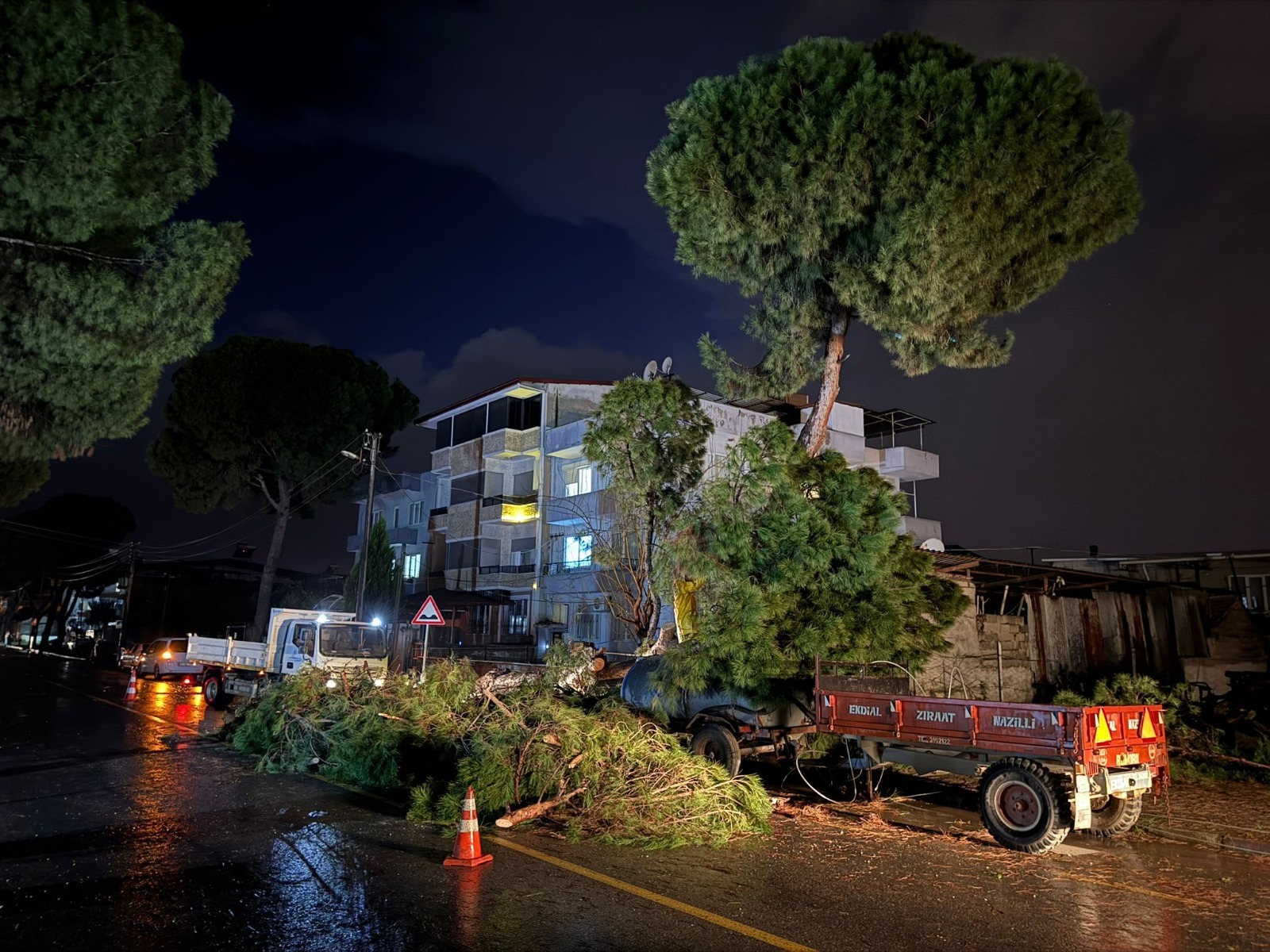 Aydın Nazilli’de Fırtına Ağaç Devirdi, Elektrik Telleri Koptu2
