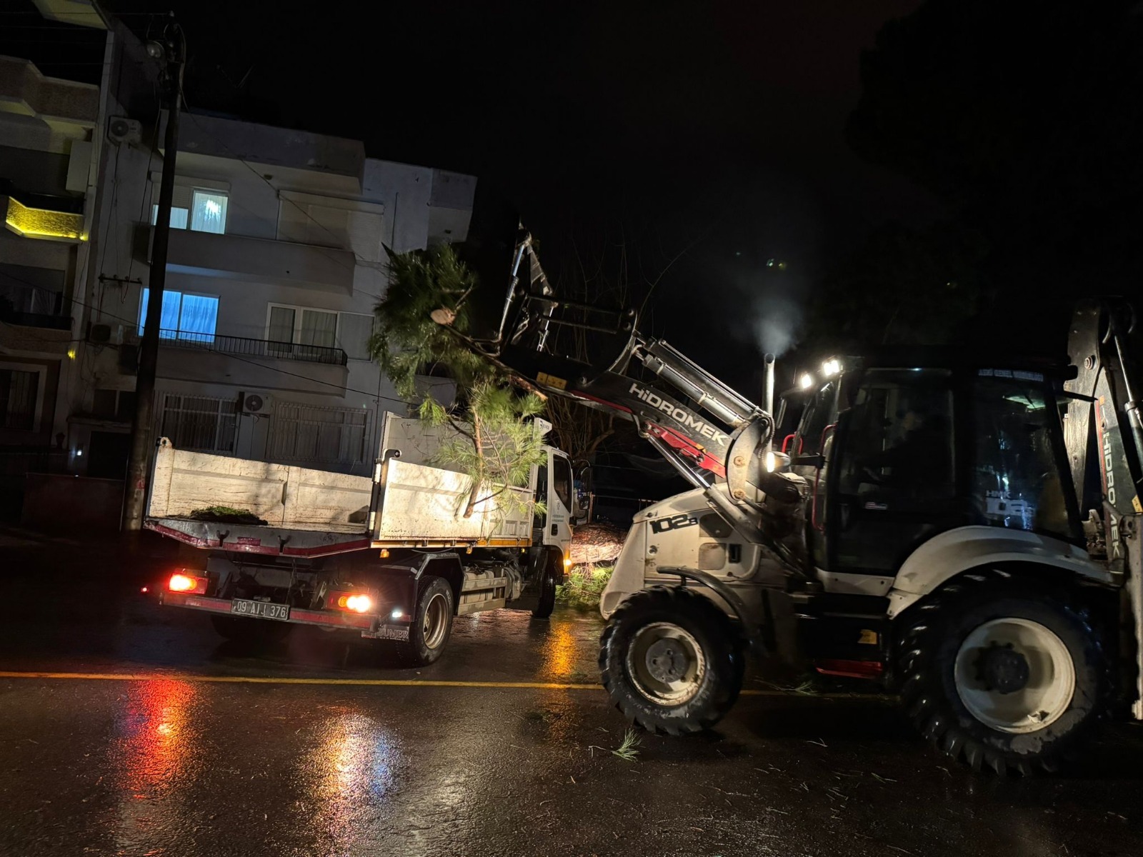 Aydın Nazilli’de Fırtına Ağaç Devirdi, Elektrik Telleri Koptu3