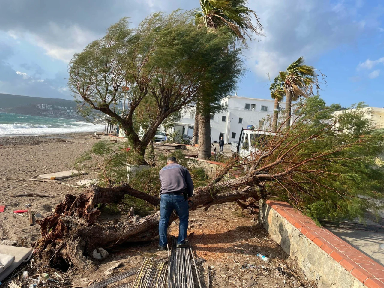 Bodrum’da Fırtına Hayatı Olumsuz Etkiledi Ağaçlar Devrildi, Feribot Seferleri Iptal (3)