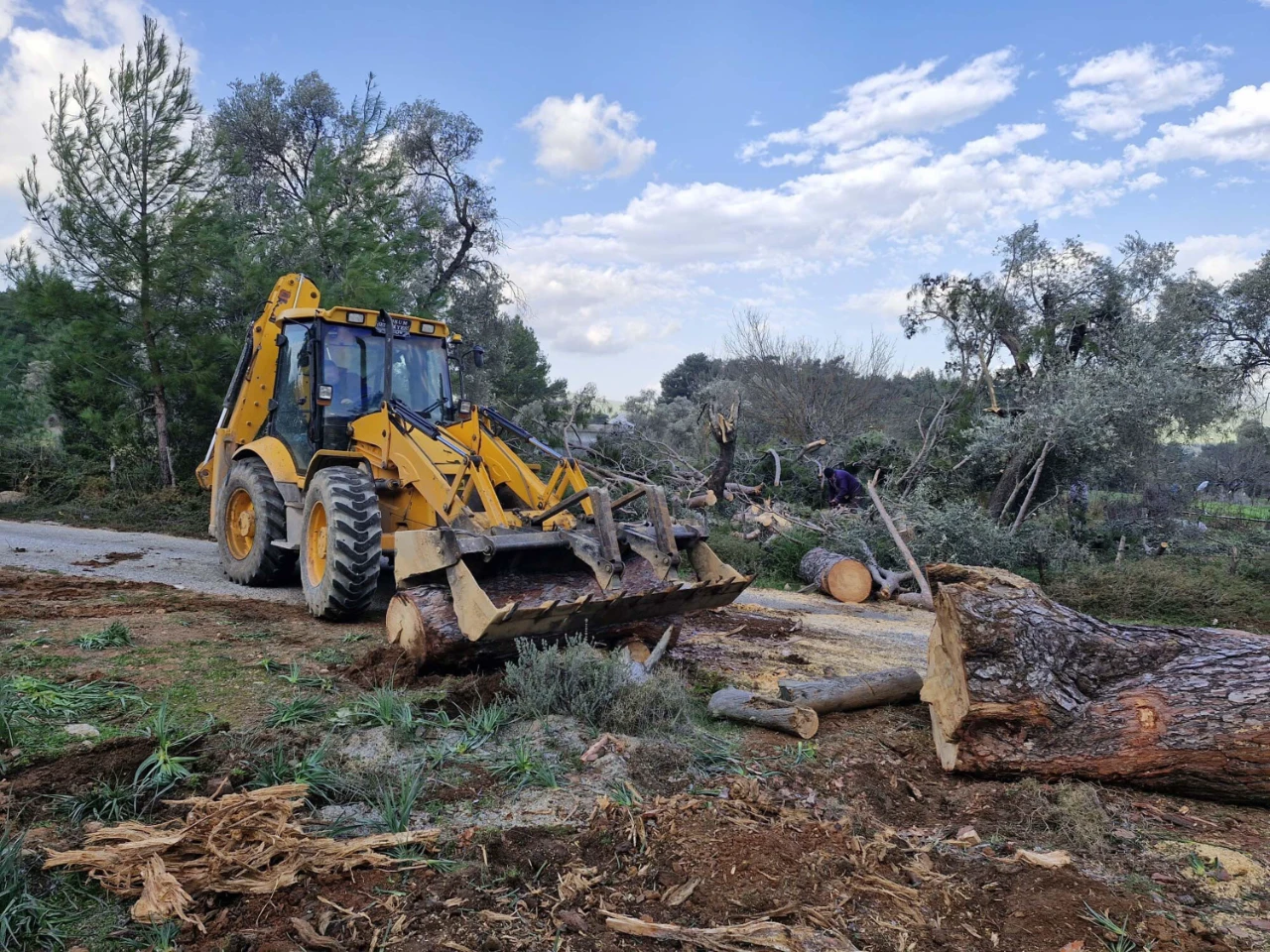 Bodrum’da Fırtına Hayatı Olumsuz Etkiledi Ağaçlar Devrildi, Feribot Seferleri Iptal (6)