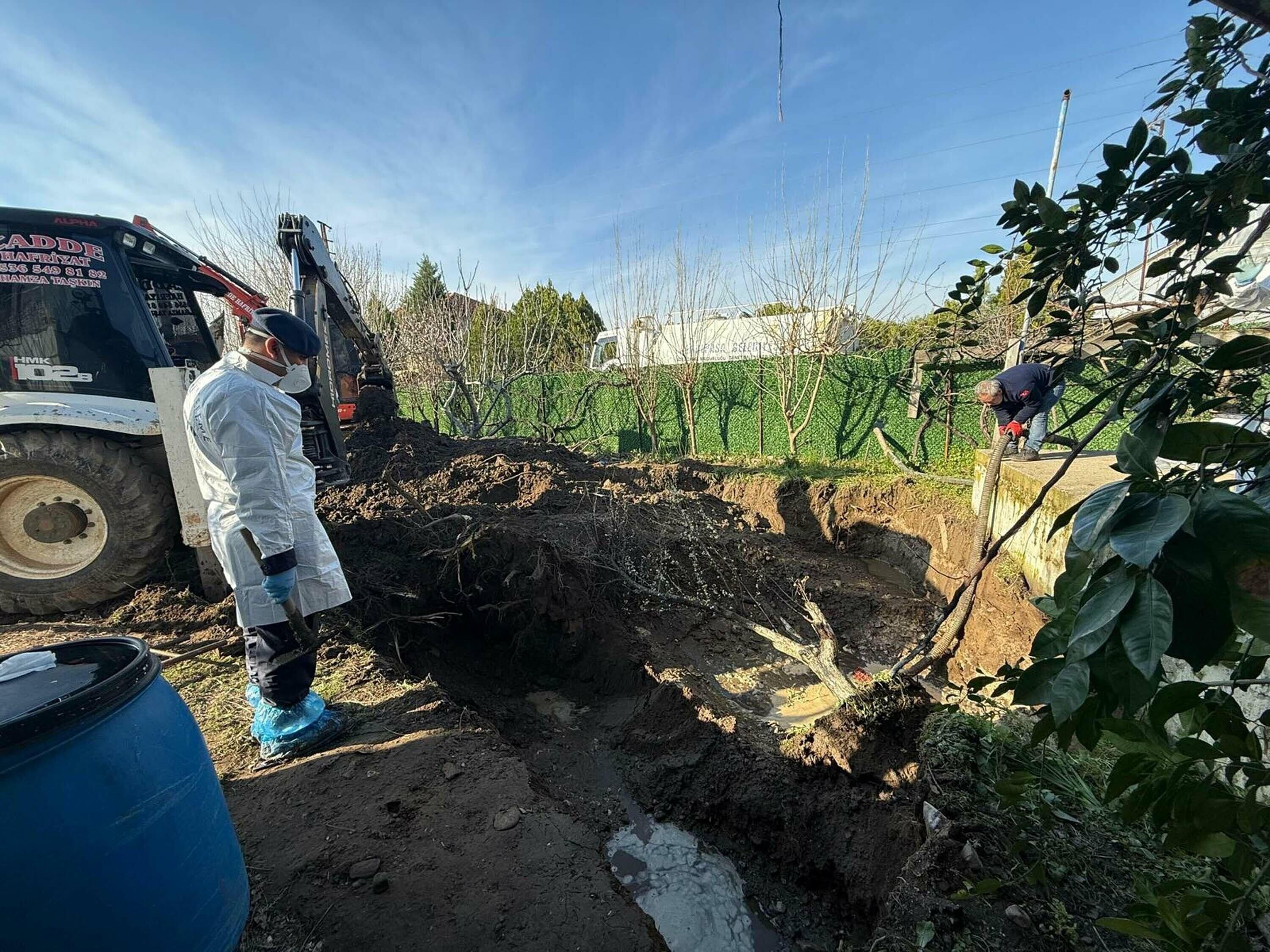 17 Y I L D I R K A Y I P O L A N E B R U N U N O L D U R U L D U G 1186677 352574