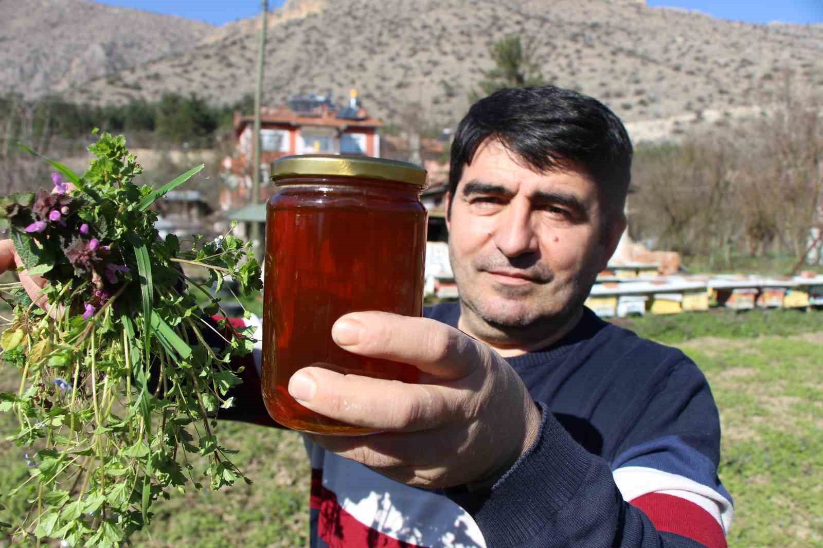 Amasya’da arılarla seçim yarışı: Kazananı bal petekleri belirleyecek
