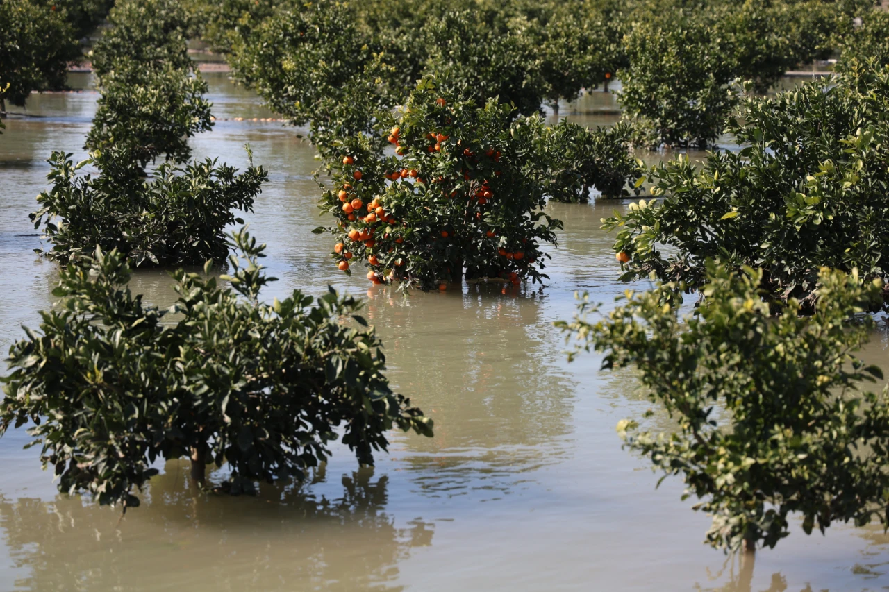 Adana’daki Sel Felaketi Tarım Arazilerini Sular Altında Bıraktı (9)