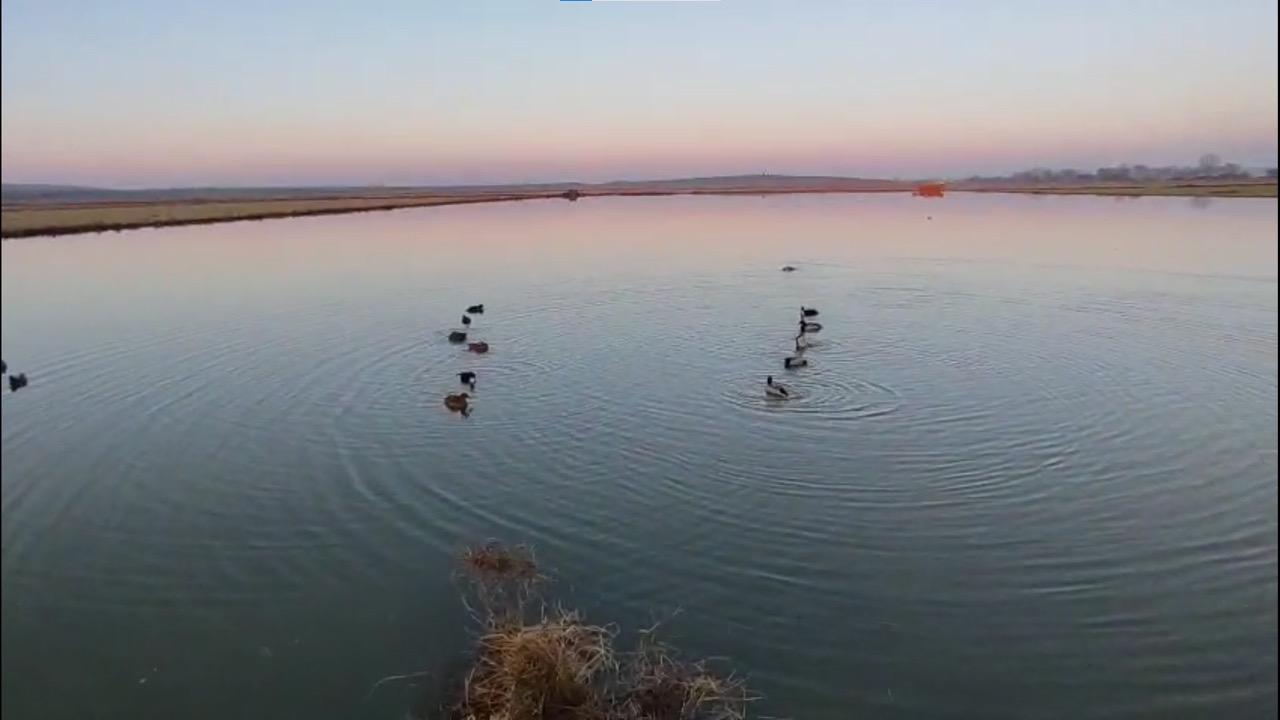 Canlı Mühre Ve Yasak Yöntemle Avlandılar, 762 Bin Liralık Ceza-1