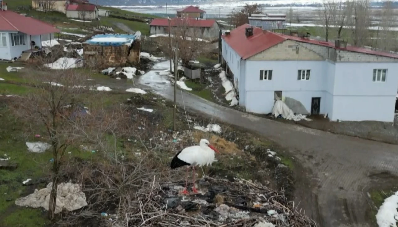 Göç Etmeyen Leylek, Köylülerin Yardımına Muhtaç (4)