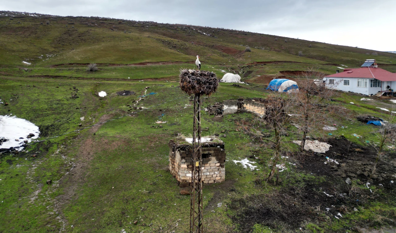 Göç Etmeyen Leylek, Köylülerin Yardımına Muhtaç (6)