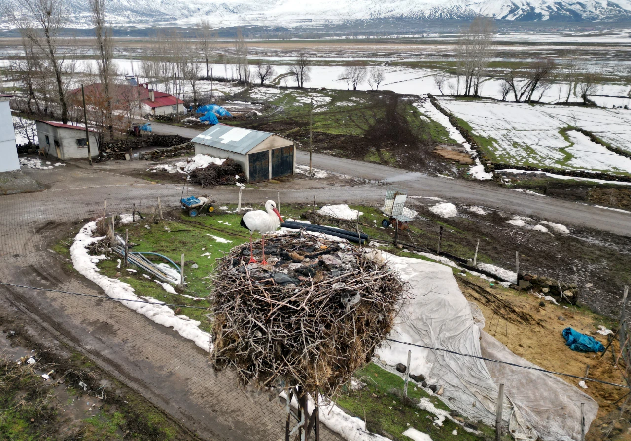 Göç Etmeyen Leylek, Köylülerin Yardımına Muhtaç (7)