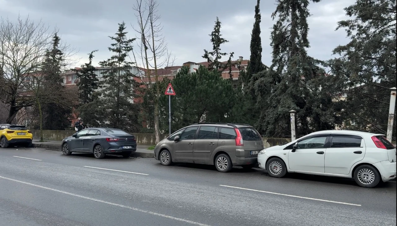 Hastaneden Taburcu Edildi, Sabah Evinde Ölü Bulundu (12)
