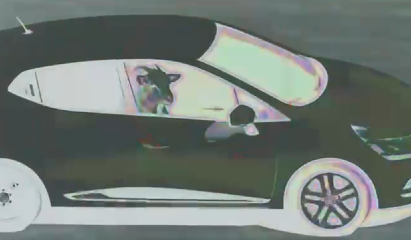 Hayvan Hırsızlığı Kamerada Şüpheliler Jandarma Tarafından Yakalandı1