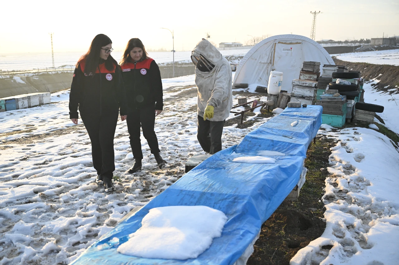Kahramanmaraş Depreminde Arılarını Kaybeden Arıcı, Devlet Desteğiyle Üretime Devam Etti (10)