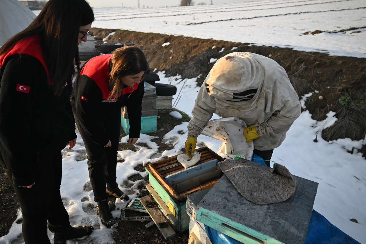 Kahramanmaraş Depreminde Arılarını Kaybeden Arıcı, Devlet Desteğiyle Üretime Devam Etti (6)