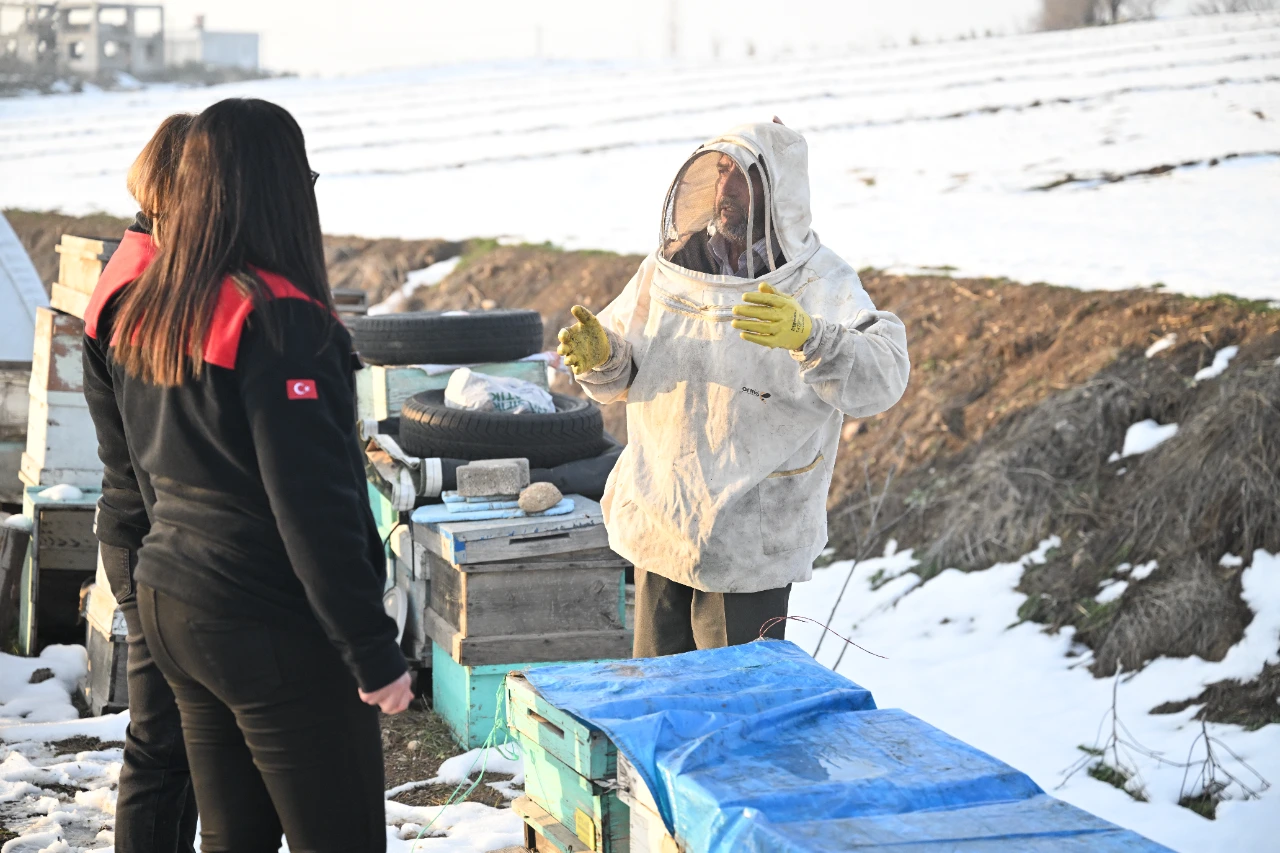 Kahramanmaraş Depreminde Arılarını Kaybeden Arıcı, Devlet Desteğiyle Üretime Devam Etti (8)