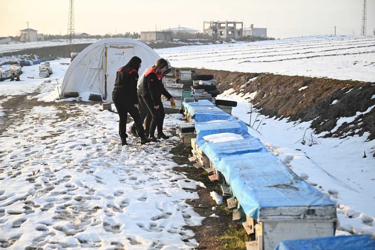Kahramanmaraş Depreminde Arılarını Kaybeden Arıcı, Devlet Desteğiyle Üretime Devam Etti (9)