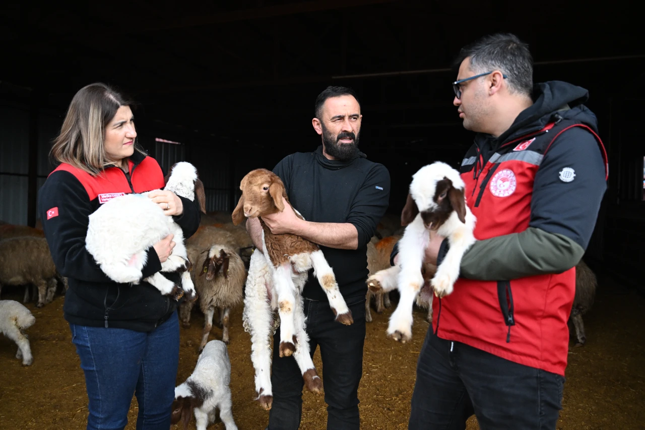 Kahramanmaraş Depreminde Tüm Hayvanlarını Kaybetti, Şimdi Üretimini Ikiye Katladı (10)