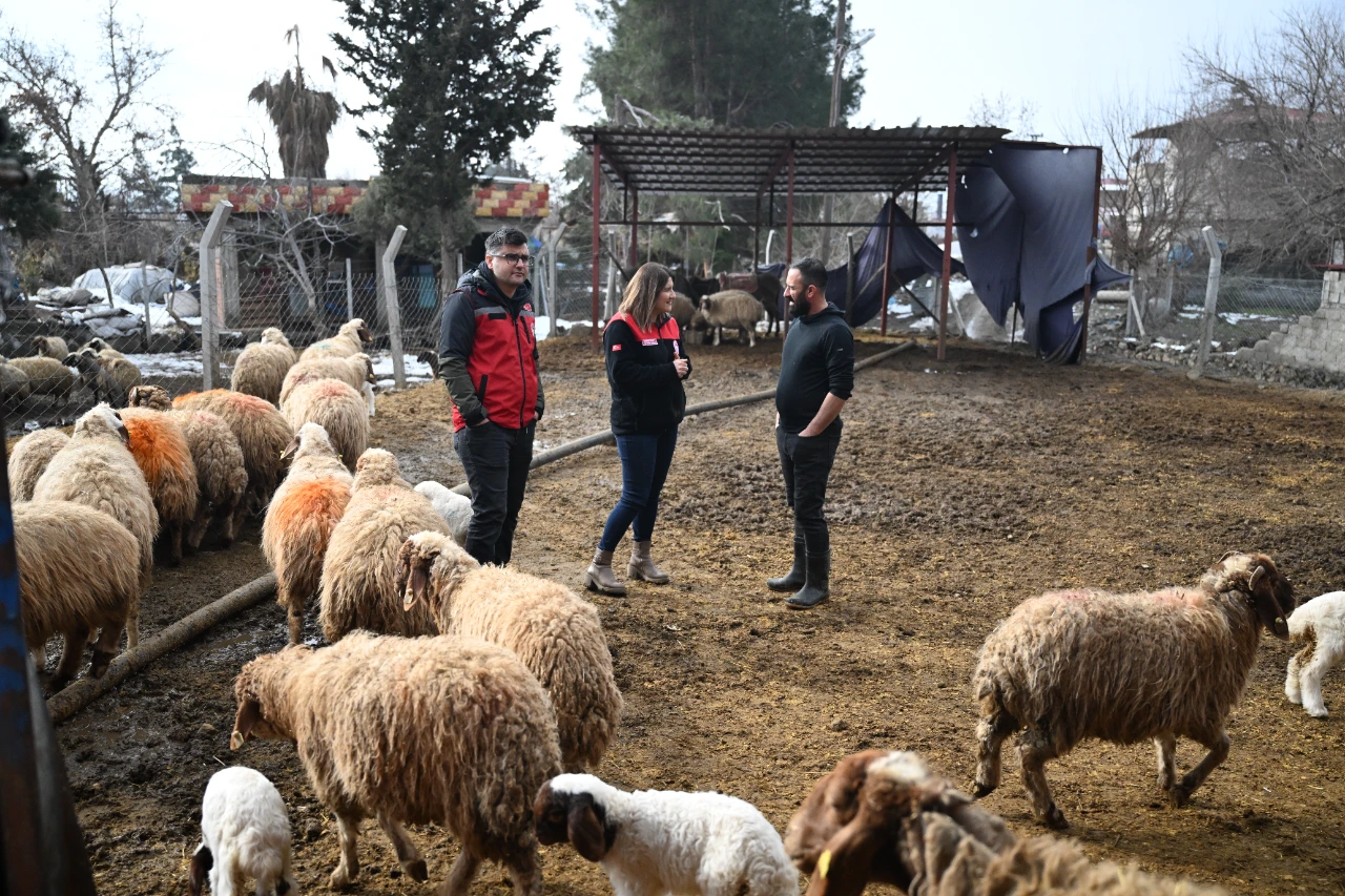 Kahramanmaraş Depreminde Tüm Hayvanlarını Kaybetti, Şimdi Üretimini Ikiye Katladı (15)