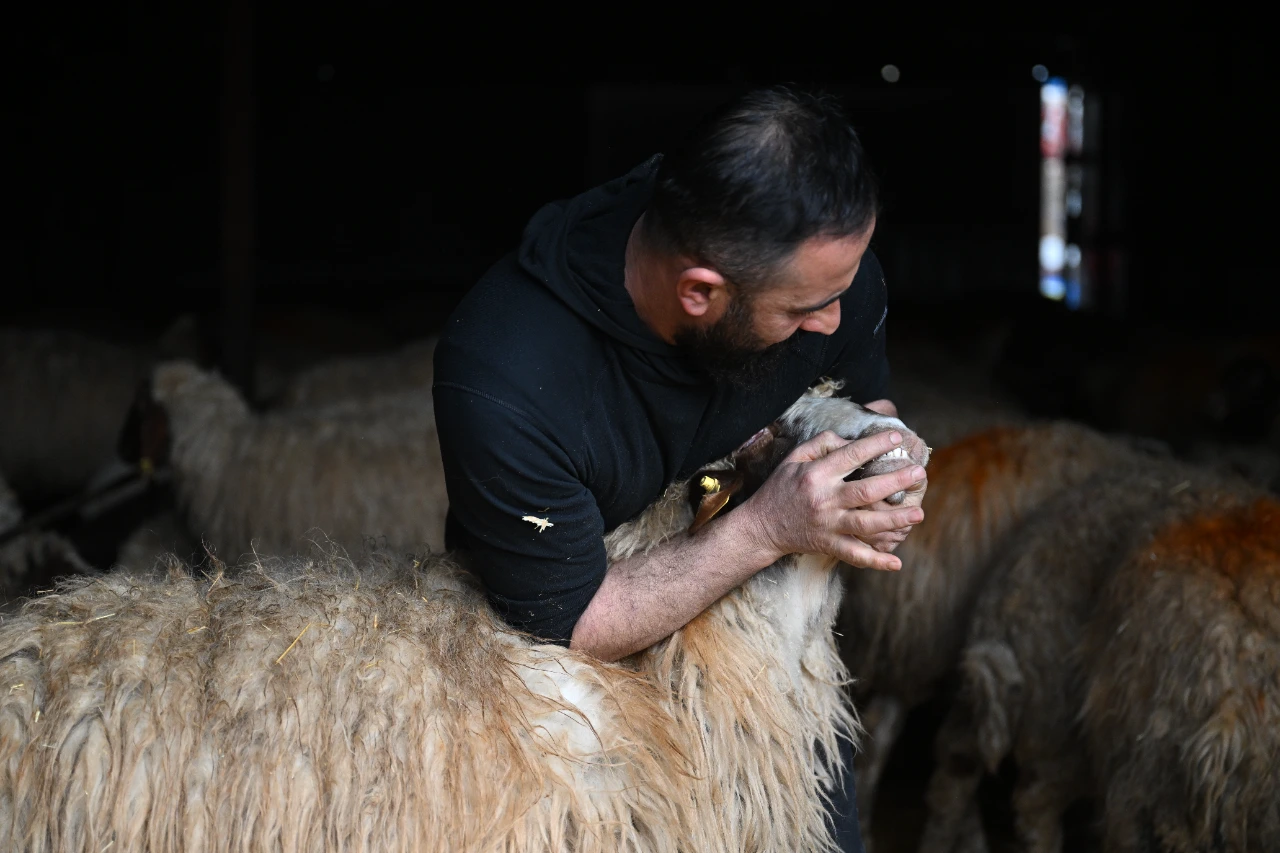 Kahramanmaraş Depreminde Tüm Hayvanlarını Kaybetti, Şimdi Üretimini Ikiye Katladı (18)