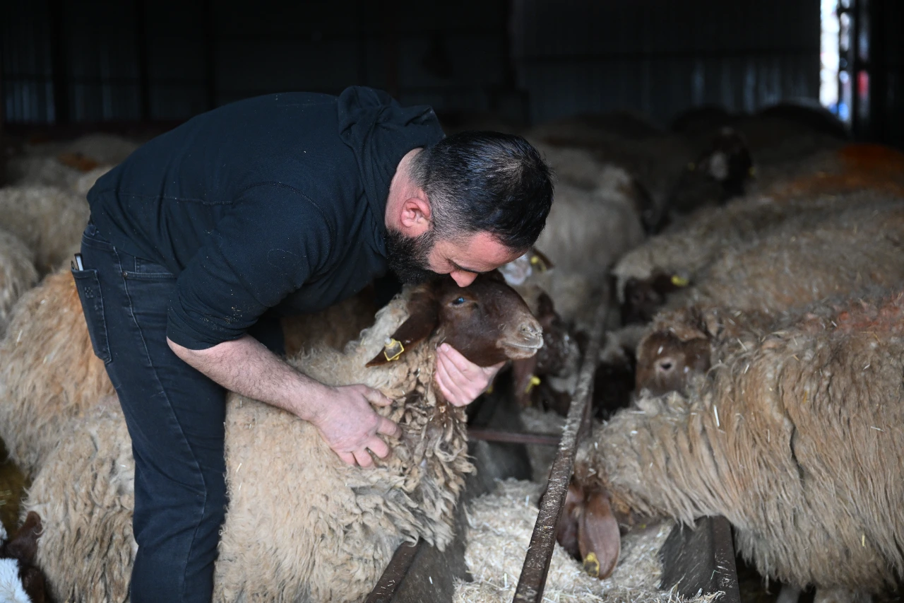 Kahramanmaraş Depreminde Tüm Hayvanlarını Kaybetti, Şimdi Üretimini Ikiye Katladı (5)