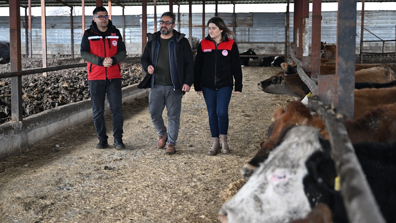 Kahramanmaraşlı Depremzede Besici, Devlet Desteğiyle Üretime Döndü (2)