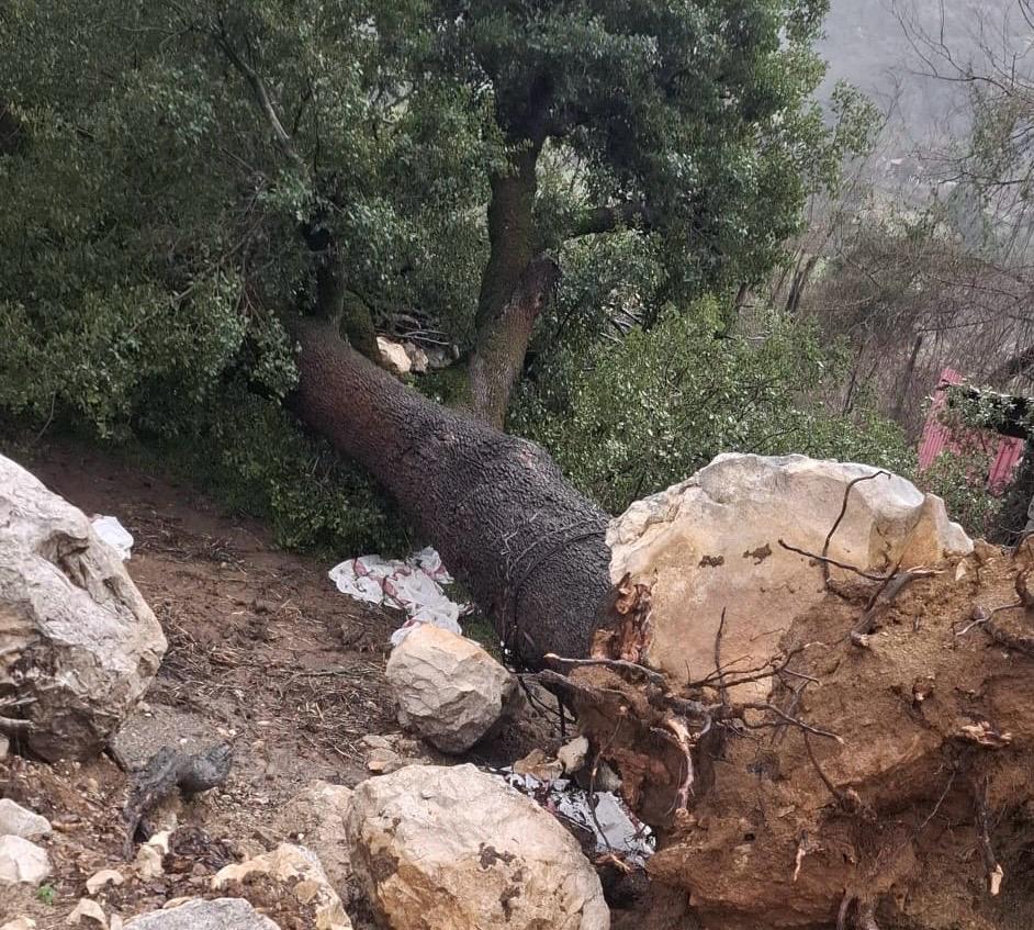 Kahramanmaraş’ta Şiddetli Rüzgar Çatıları Uçurdu, Ağaçları Devirdi (2)