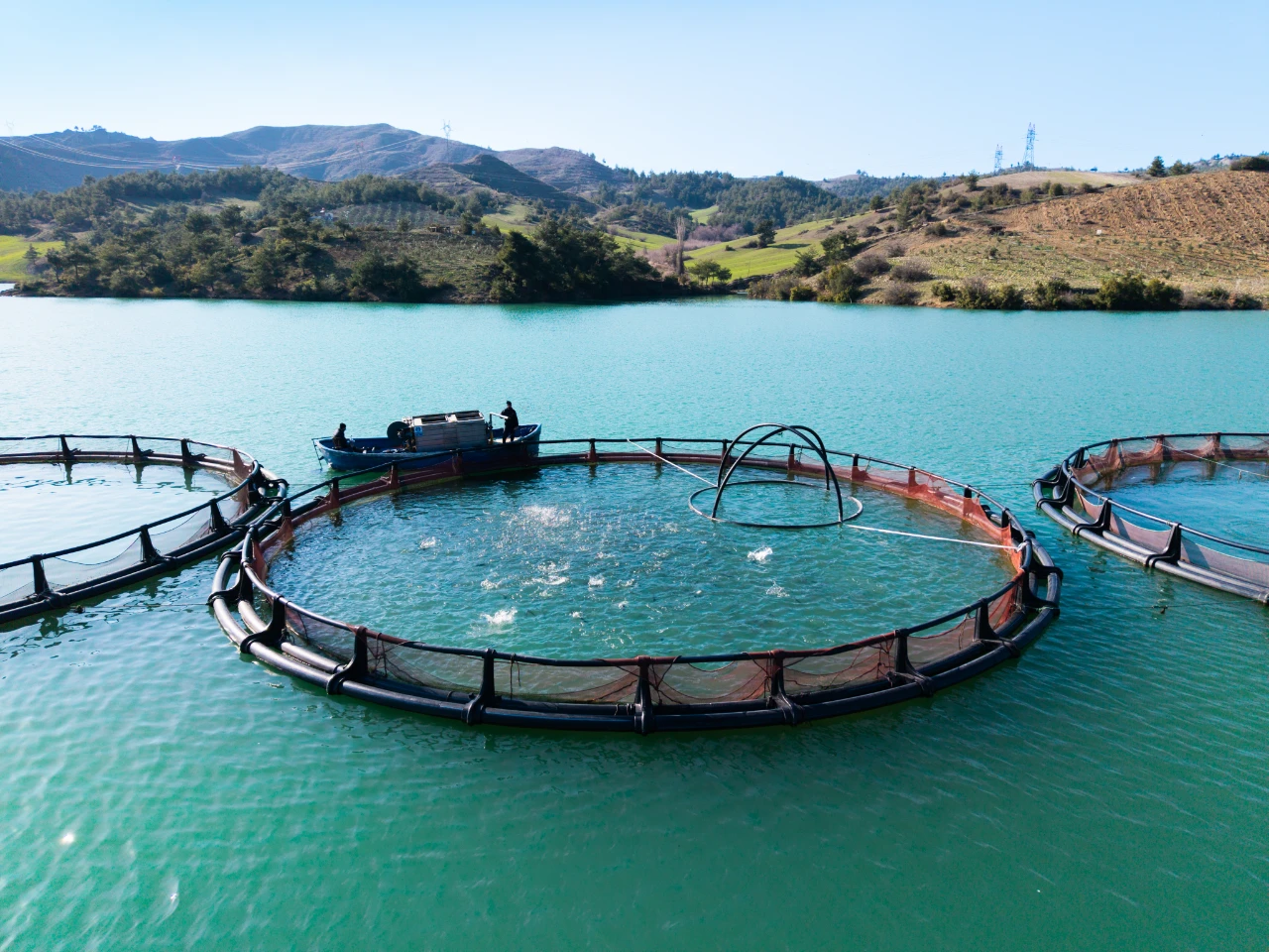 Kahramanmaraş'ta Somon Ve Alabalık Üretimiyle Bölge Ekonomisine Katkı (17)