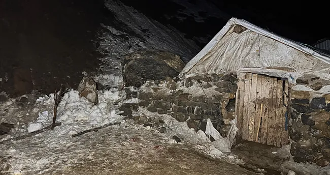 Kahramanmaraş'ta kurtlar koyun sürüsüne saldırdı!  70 koyun telef oldu