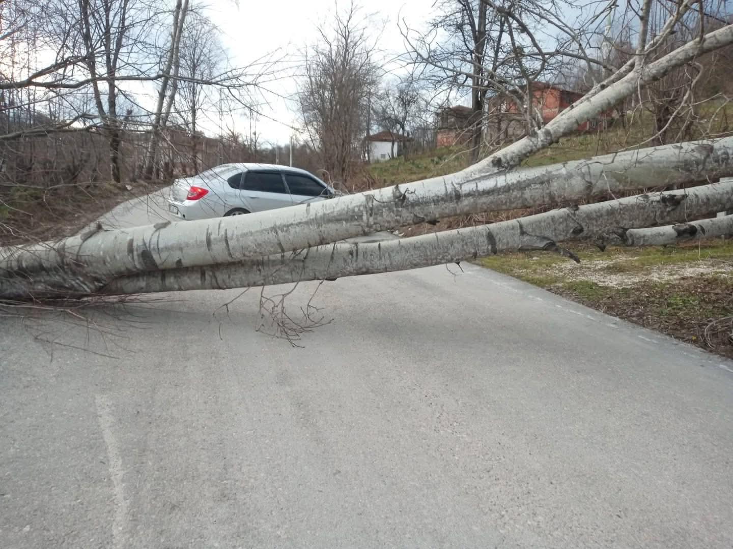Ordu’da Saatte 100 Kilometreyi Bulan Fırtına Çatıları Uçurdu2