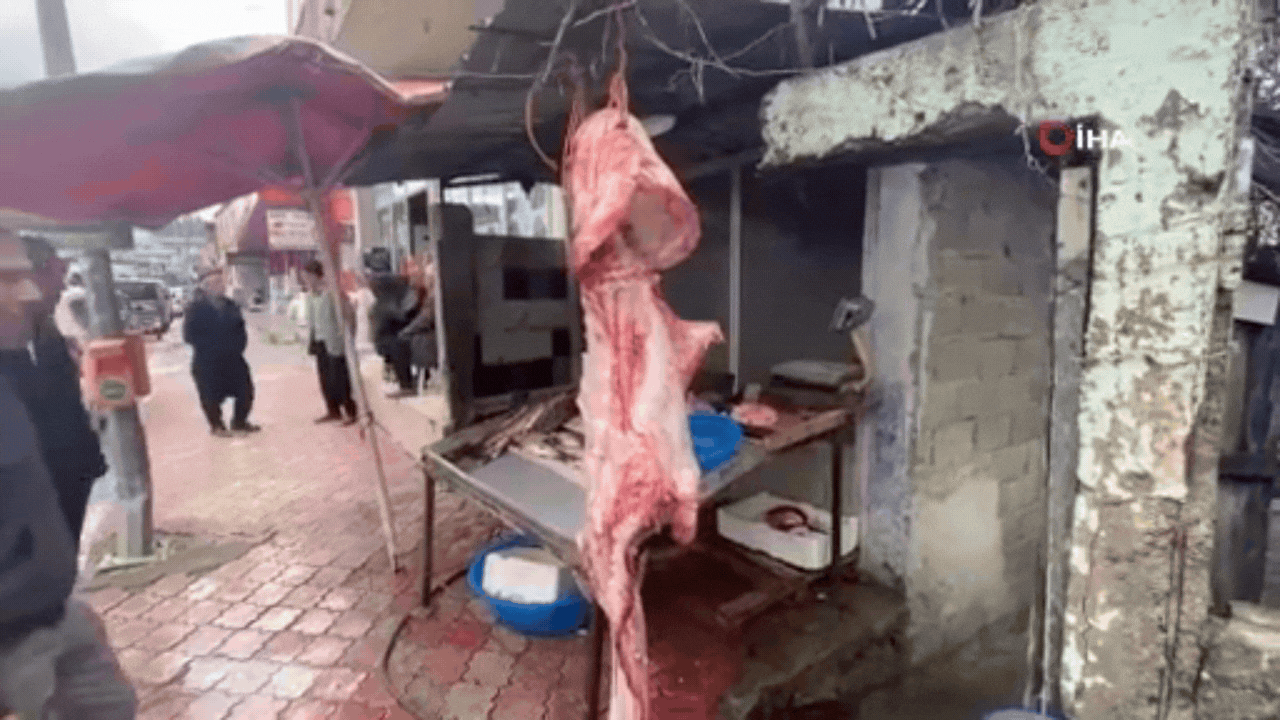 Osmaniye’de 2 metrelik balık görenleri şaşırttı