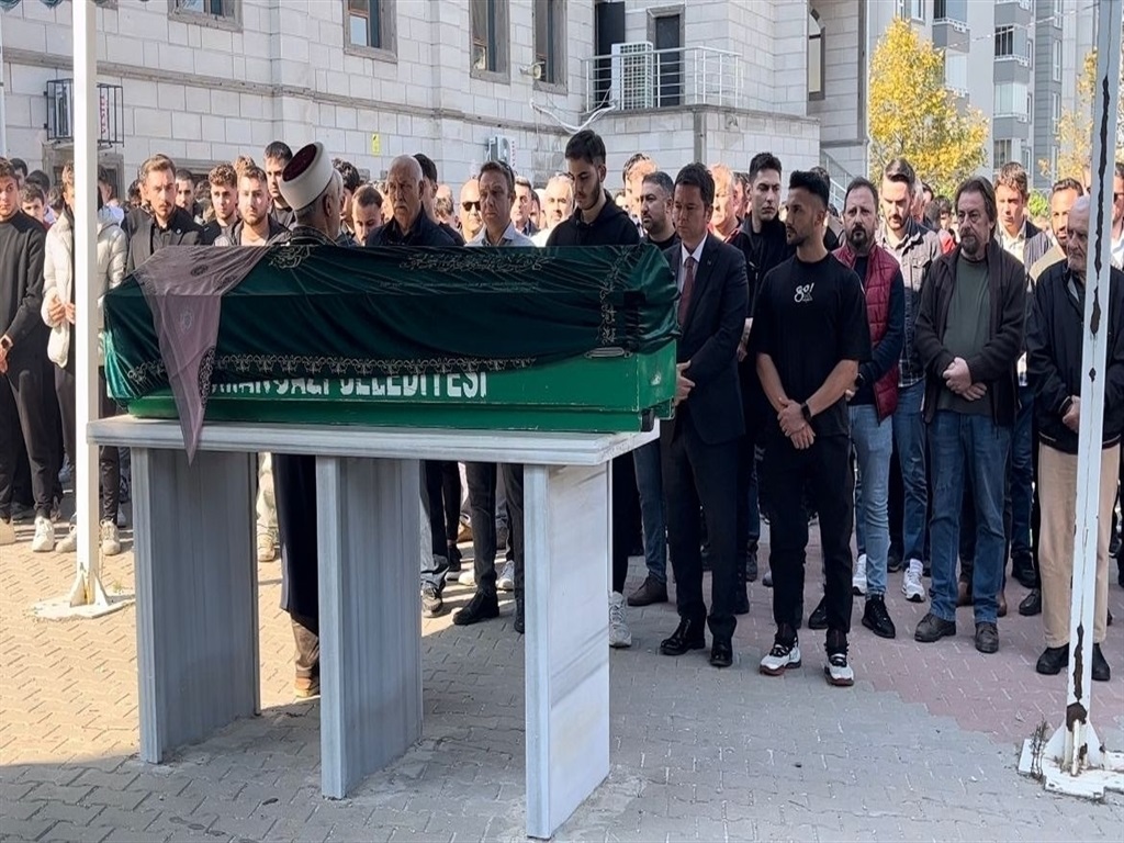 S A V C I D I S H E K I M I E S I N I C O C U K L A R I N I N Y A N 1158944 344120