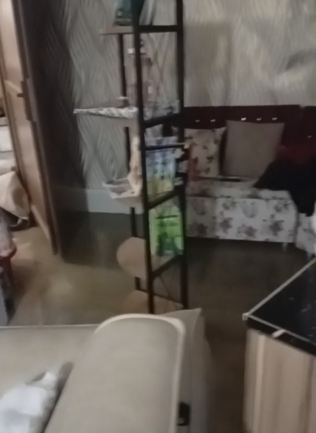 Samandağ’da Dere Taştı, Ev Ve Ahır Su Altında Kaldı