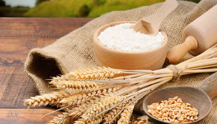 Ekmeklik Buğday Unu