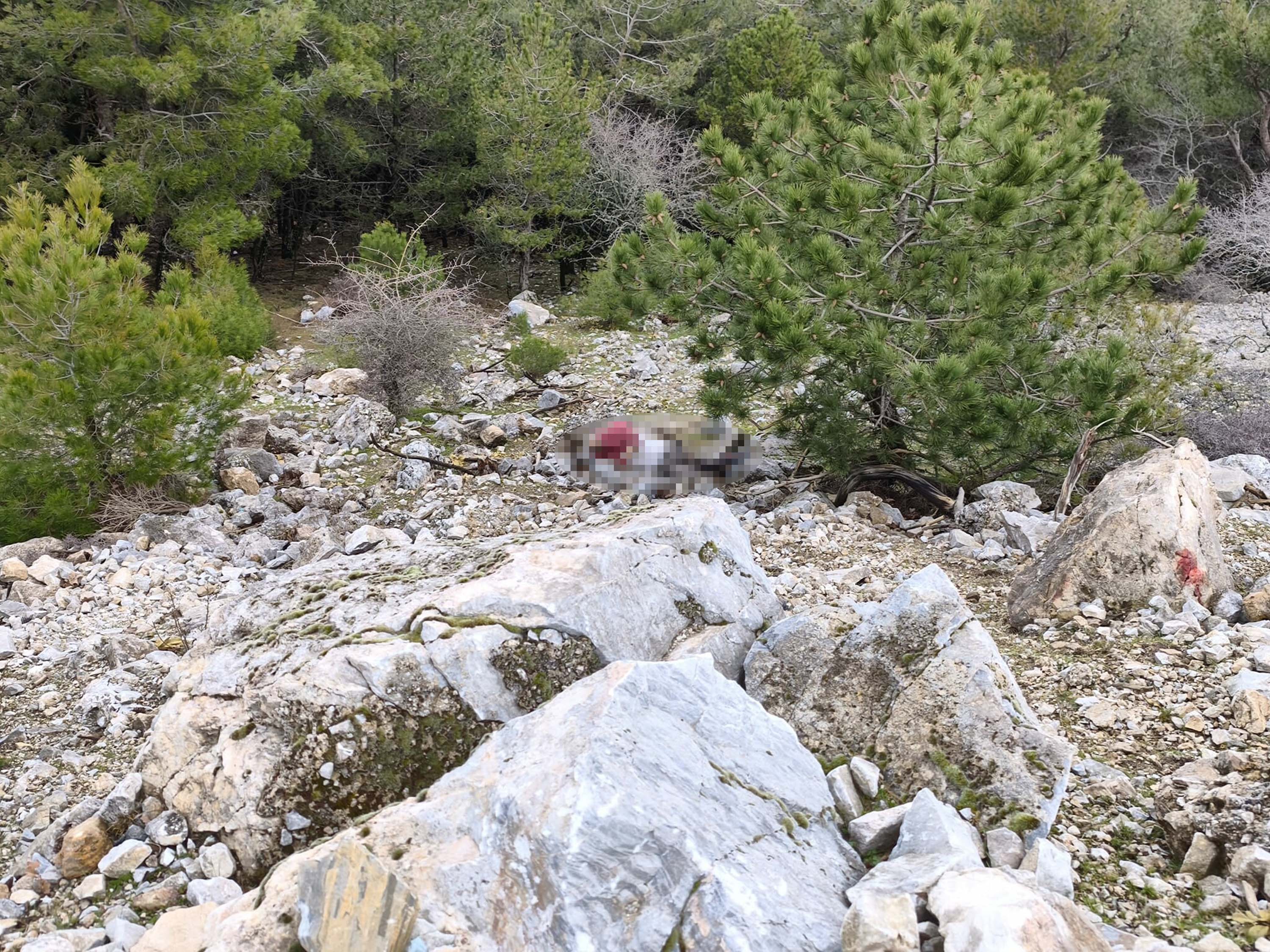 U C U R U M D A B U L U N A N C E S E T L E I L G I L I E S I V E O 1182120 351113