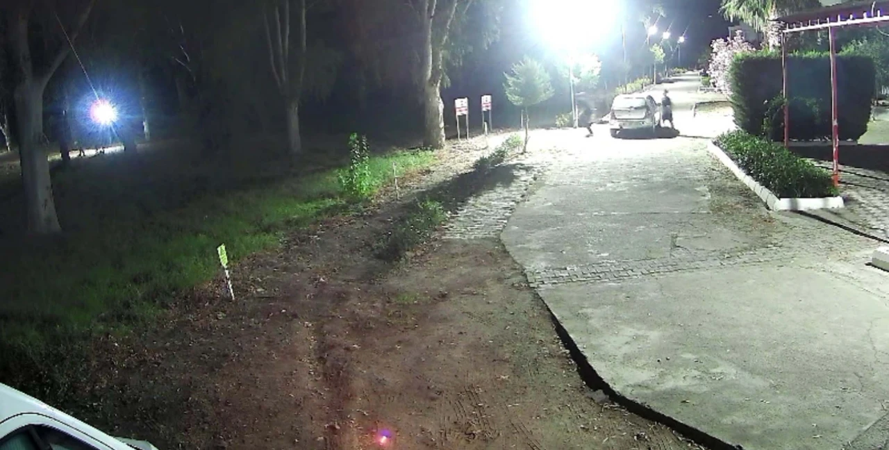 Almanya'dan Tatile Geldi, Canından Oldu! Acılı Anne Konuştu (11)