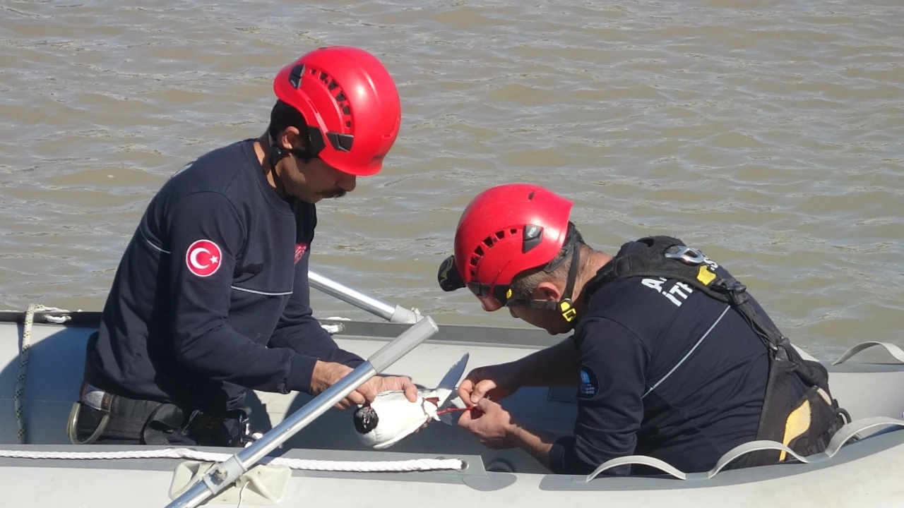 Antalya’da Film Gibi Kurtarma Misinalara Dolanan Martı Itfaiye Ekiplerince Kurtarıldı (3)