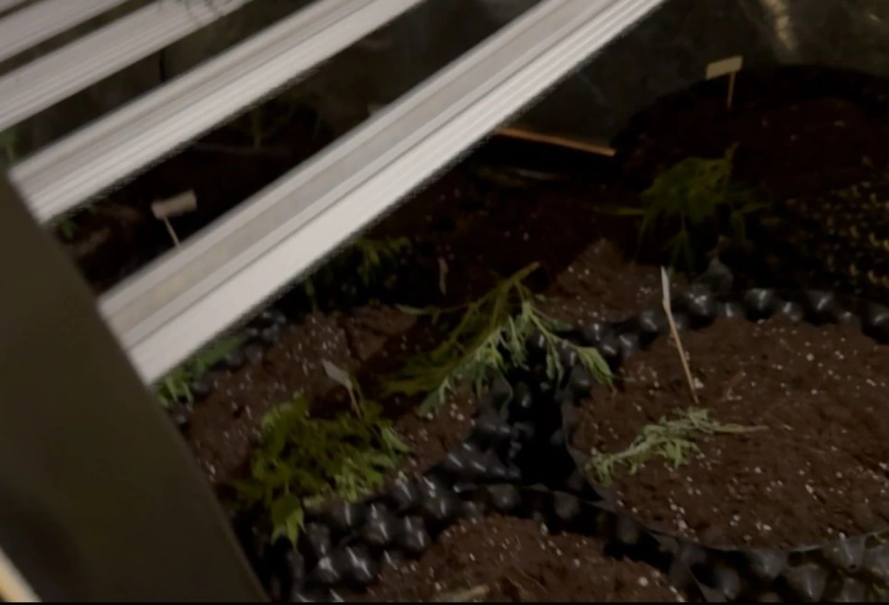 Bir Evde Yasaklı Madde Imalathanesi Ortaya Çıkarıldı (3)