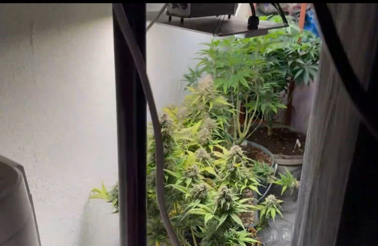 Bir Evde Yasaklı Madde Imalathanesi Ortaya Çıkarıldı (4)