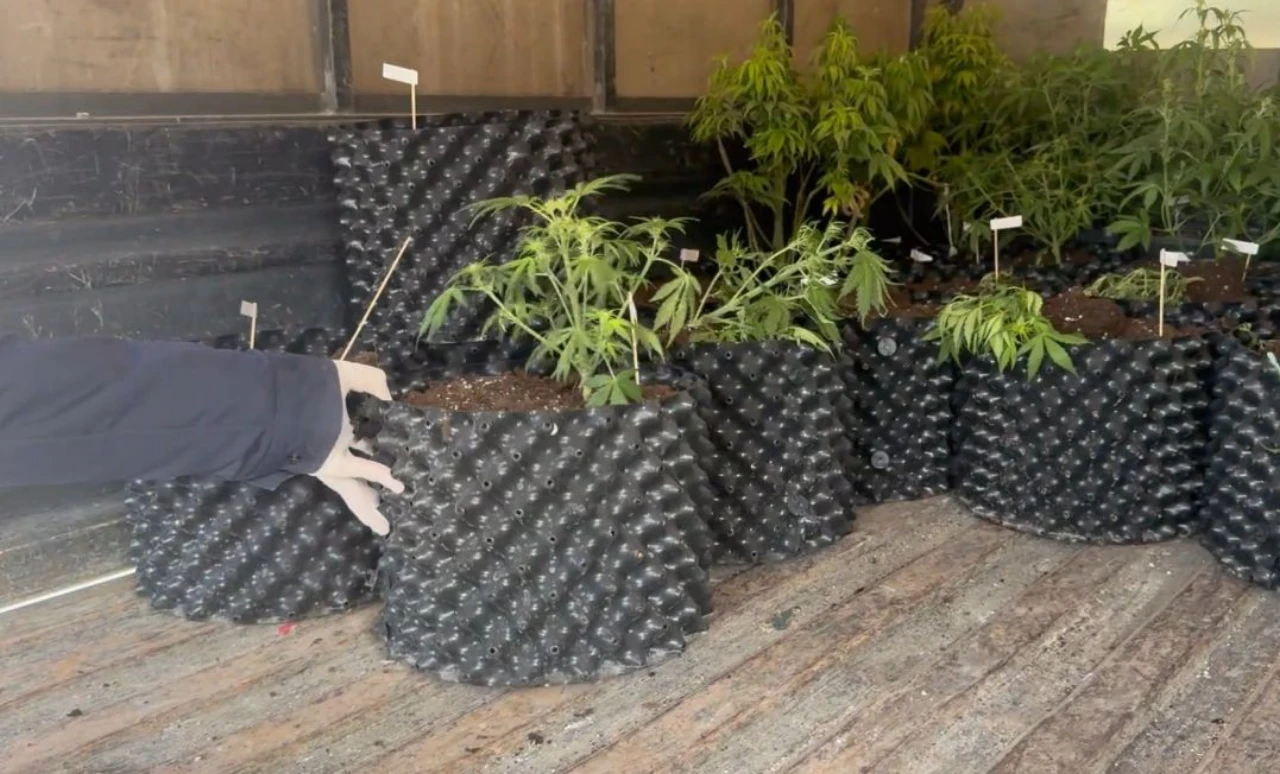 Bir Evde Yasaklı Madde Imalathanesi Ortaya Çıkarıldı (6)