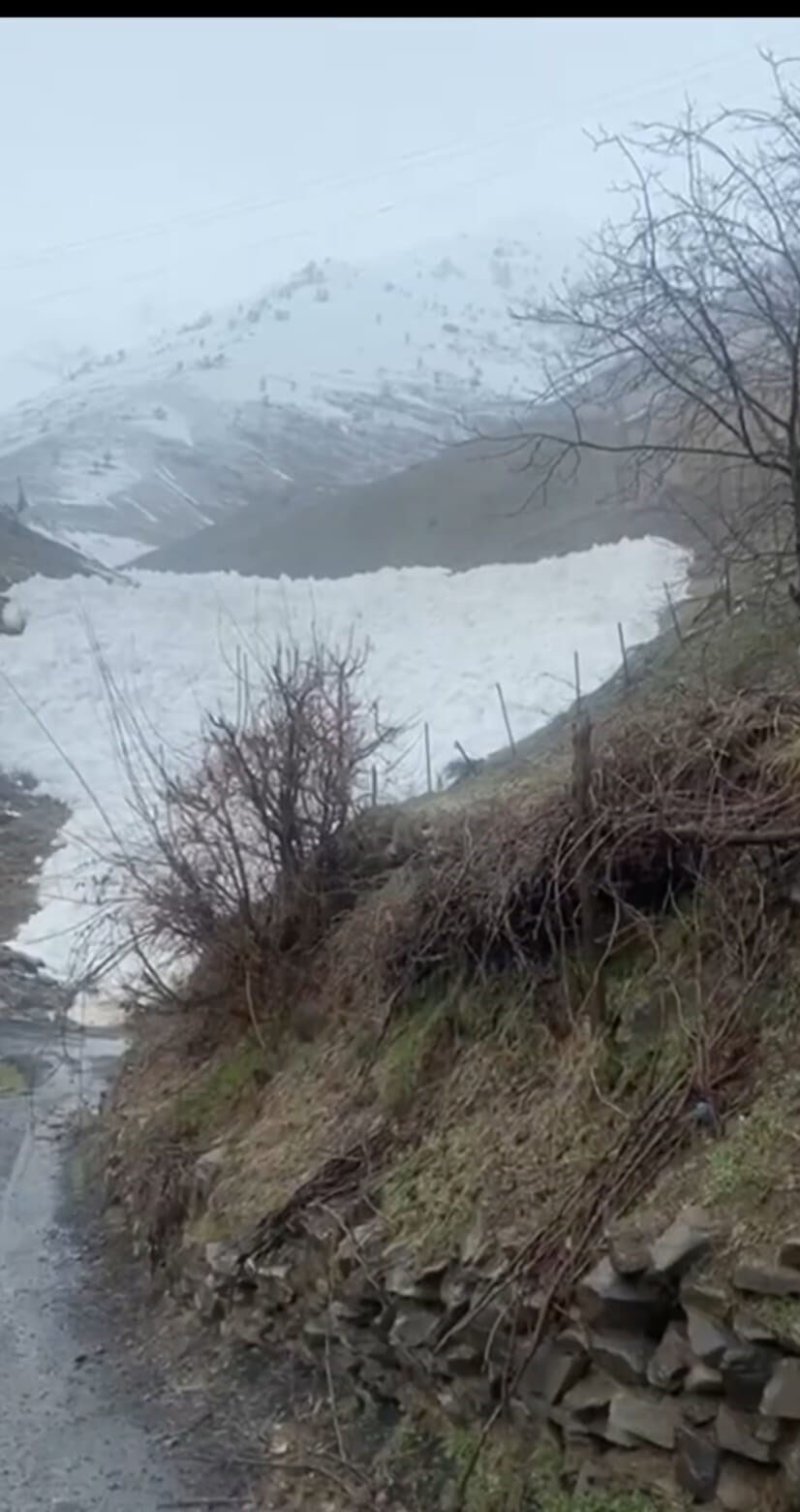 Hakkari’de Köye Doğru Ilerleyen Çığ Saniye Saniye Görüntülendi2